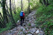 MONTE MAGNODENO e CRESTE DELLA GIUMENTA ad anello da Erve il 25 aprile 2016 - FOTOGALLERY